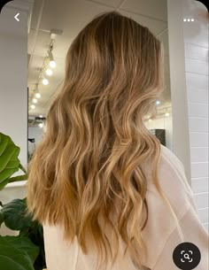 Honey Blonde Baylage Hair, Lived In Golden Blonde, Warm Blonde Hair Color Honey Caramel, Beachy Blonde Hair Balayage, Golden Blonde Hair With Dark Roots, Bronze Blonde Hair, Warm Dirty Blonde Hair, Golden Bronde Balayage Honey