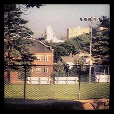 a fenced in park with trees and buildings behind it