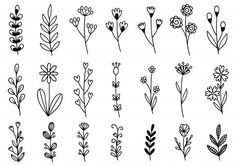 different types of flowers drawn in black and white