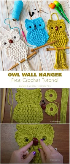 crochet owl wall hanger free pattern and instructions to make it in the shape of an owl