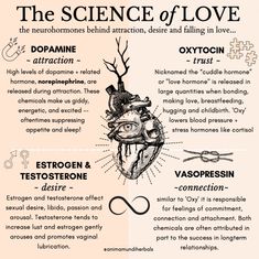 Alchemy Spells, Nervus Vagus, Spirituality Energy Universe, Science Of Love, Forbidden Knowledge, Chakra Healing Meditation, Vibrational Medicine, Chakra Health, Spiritual Psychology