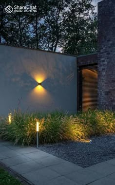 an outdoor area with plants and lights on the side of the building at night time