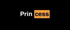 the prin cess logo is shown in black and yellow, with an orange rectangle