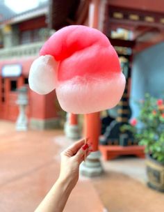 a hand holding up a cotton candy lollypop in front of a red building