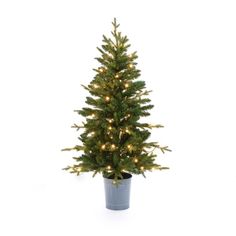 Decorating for the holidays just got easier! Deck the halls with this festive artificial fir Christmas tree with this pre-strung 4-foot artificial fir tree. That’s right! No cleaning up tree needles and untangling Christmas tree lights. This tree sets up in minutes and after fluffing the branches it looks so real! Whether you trim the tree with cherished ornaments and display the tree in its natural beauty, this charming tree will become a favorite of holiday decorations. Smaller trees are a quick and easy way to dress up your home, office, classroom, or church Sunday school room for kids! The artificial tree features green branches made from high-quality material that is not crushed during storage. The artificial tree has a graceful round metal pot highlighted in a trendy gray finish. Set Porch Tree, Porch Trees, Sunday School Rooms, Tree With Lights, Fir Christmas Tree, Christmas Tree Lights, White Light Bulbs, Tree Lights, Small Christmas Trees