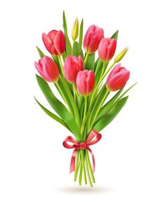 a bouquet of pink tulips with a bow