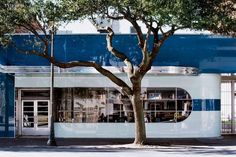 a tree in front of a store with large windows on the side of the street