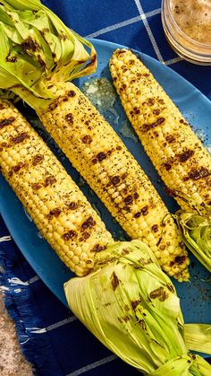 grilled corn on the cob with butter and seasoning sitting on a blue plate