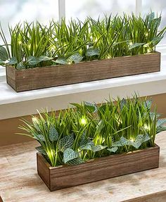 two wooden planters filled with green plants on top of a table next to a window