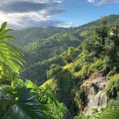 a waterfall surrounded by lush green trees on a sunny day