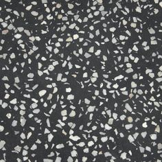 black and white speckles are scattered on the ground