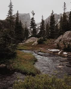 a river running through a forest filled with lots of tall pine trees on top of a mountain