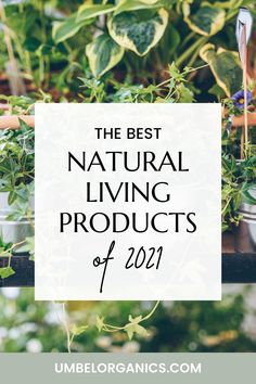 Potted Plants on shelf Clean Mascara, Zinc Oxide Sunscreen, Toxin Free Living, Natural Cleaning Solutions, Organic Skin Care Brands, Cleanse Your Body, Zinc Oxide, Green Lifestyle