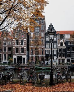 many bicycles parked next to each other in front of some buildings with autumn leaves on the ground