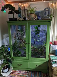 a green cabinet with plants in it sitting on top of a rug next to a window