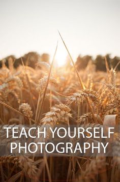 the words teach yourself to photograph in front of a field of tall grass with sun shining through