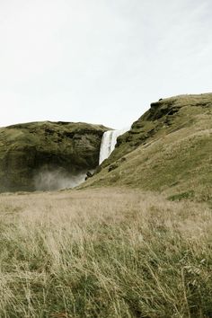 a waterfall is coming out of the side of a hill with tall grass on both sides