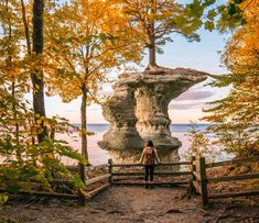 a person standing at the end of a wooden walkway in front of some trees and water