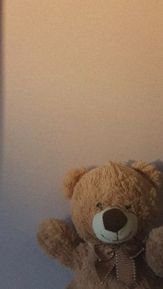 a brown teddy bear sitting up against a wall