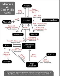 the diagram for alcohol and carbohydrates is shown in this graphic above