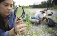 How to Be a Citizen Scientist - Experience Life Science Fair Projects 8th Grade, Chemistry Science Fair Projects, Winning Science Fair Projects, Citizen Scientist, Butterflies Activities, Green Chemistry, Age Of Extinction, 8th Grade Science, Citizen Science