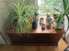 several houseplants are sitting on a window sill in front of a window