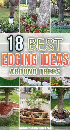 the top 10 best edging ideas around trees