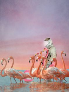 a man in a space suit surrounded by flamingos on the water with pink clouds