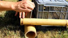 a person is holding a piece of wood next to a bird cage in the grass