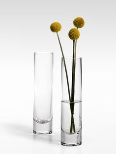 two clear vases with flowers in them on a white surface, one is filled with water