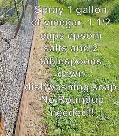 a garden fence with text over it that says spray gallon of vinegar 11 12 cups epsom salts and 2 tablespoos dawn dishwashing soap no roundup needed