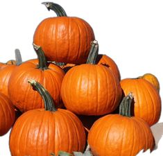 a pile of pumpkins sitting on top of each other