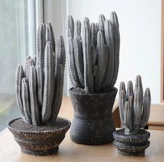 three cactus pots sitting on top of a wooden table