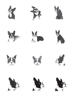 various black and white images of dogs with different shapes, sizes and colors on them