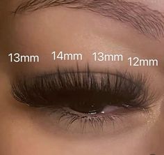 Lash Layout, Lash Sets With Mapping, Doll Eye Volume Lash Extensions, Classic Hybrid Lashes, Lash Extensions Ideas, Lashes Map, Lash Mapping Eyelash Extensions, Lashes Ideas, Lash Ideas