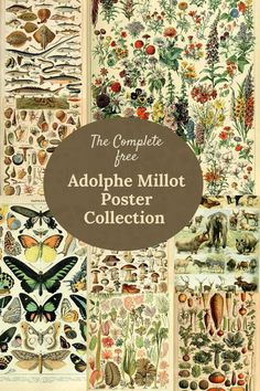 the complete free antique milot poster collection is featured in this book, which features an image of many different types of insects