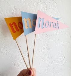 a hand holding three small flags with the word noah on them in different colors and shapes