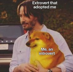 a man holding a dog with the caption'me, an introvert '