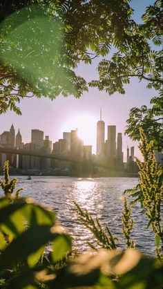 the sun shines brightly in front of a city skyline as seen through some trees