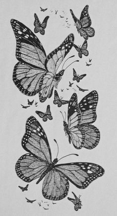 several butterflies flying in the air with their wings spread out and one is black and white