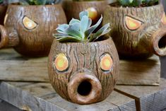 some potted plants are sitting on top of wooden planks with holes in them