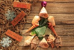 various seashells and seaweed are arranged in a triangle on a wooden surface