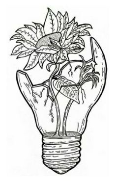 a drawing of a light bulb with plants in it and leaves growing out of the top