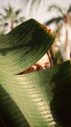 a person hiding behind a large leaf with their eyes wide open and looking at the camera