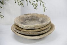 three bowls are stacked on top of each other in front of a potted plant