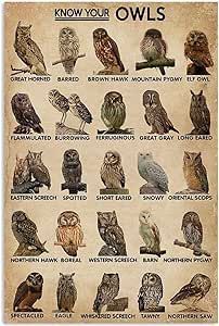 an owl poster with many different owls sitting on it's back legs and the words know your owls