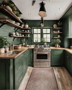 a kitchen with green cabinets and wooden floors, an area rug on the floor that has potted plants in it