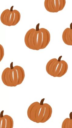 several orange pumpkins on a white background