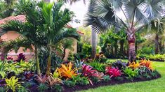 tropical garden with palm trees and colorful flowers in the foreground, surrounded by lush green grass