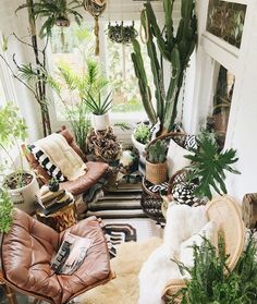 a living room filled with lots of plants and potted plants on top of it